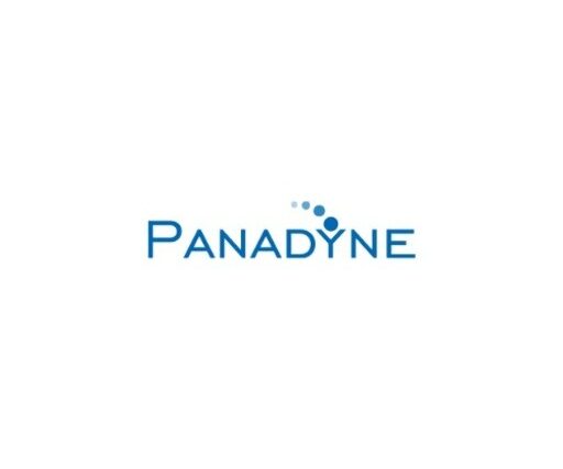 Panadyne Inc