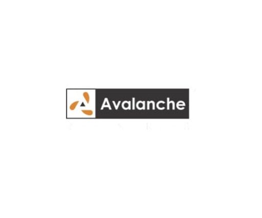 AVALANCHE REFINERIES PRIVATE LIMITED