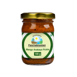 https://vyaparbusiness.com/wp-content/uploads/2025/08/Mango-Avakaya-_100gm_Front-700x700-1-300x300.png
