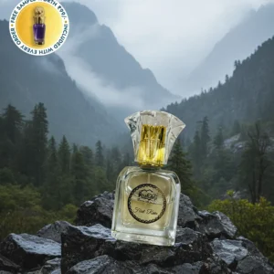 https://vyaparbusiness.com/wp-content/uploads/2026/04/First-Rain-Attar-N04-300x300.webp
